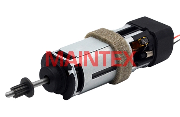 Brush DC motor