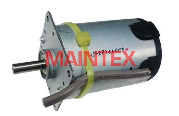 Brush DC motor