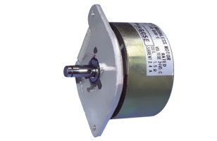 Brushless DC motor