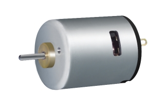 Brush DC motor