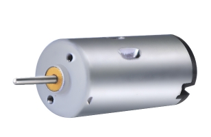 Brush DC motor