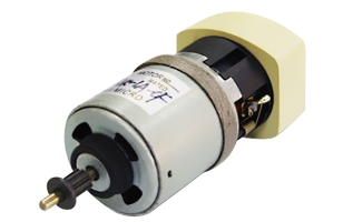 Brush DC motor