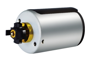 Brush DC motor