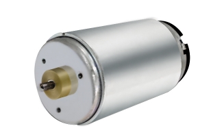 Brush DC motor