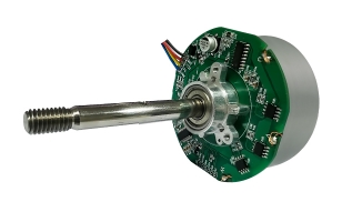 Brushless DC Motor