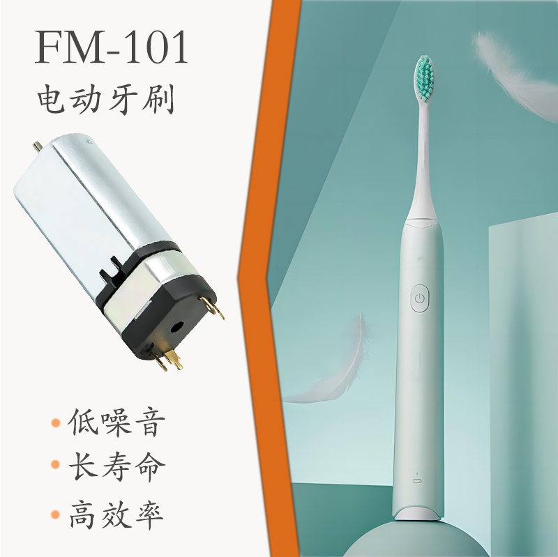 FM-101 直流有刷电机(图1)