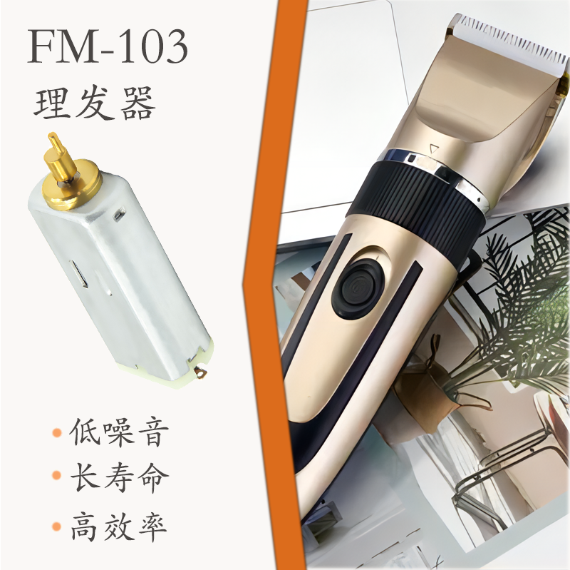 FM-103 直流有刷电机(图1)