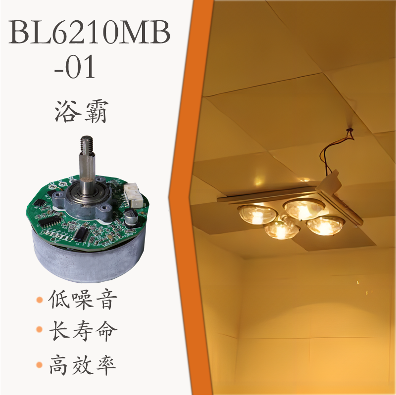 BL6210MB-01(图1)